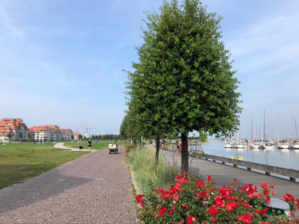 Amelotte Appartement Nieuwpoort Buitenkant foto